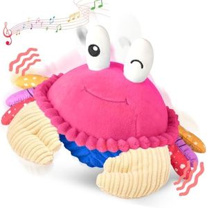 Baby Toys 