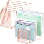 Chivertion 2 Pcs 7 Slot Incline File Sorter Metal Wire Mesh File Racks for Desktop File Letter Sorter for Magazine Folder Book Organizer Home School Office Paper Mail Desk Storage Holder (Rose Gold)