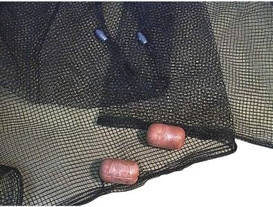 Frabill Minnow Seine Net, 1/4-Inch Mesh, 4 x 12-Feet