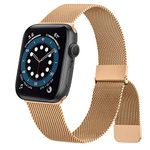 Apple Watch Stainlesses