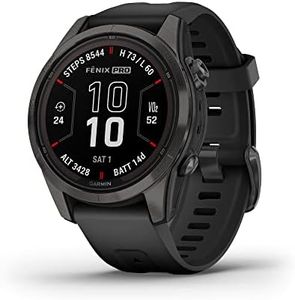 Garmin fēn
