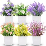 6 Packs Fake Plants Mini Artificial Lavender Eucalyptus Faux Decorative Grass Potted Plants for Home Decor Indoor Office Table Room Farmhouse with Flower