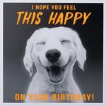 Paperlink Funny Birthday Card for Men/Boys - General Humour Male Card - Hope You Feel This Happy - Smiling Labrador Dog - Eco-Friendly & Recyclable - Made in England