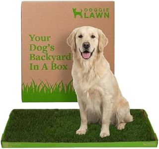 DoggieLawn