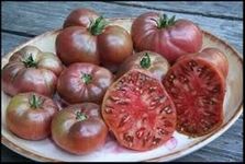 Tomato Cherokee Purple Great Garden Heirloom Vegetable By Seed Kingdom BULK 1,200 Seeds