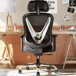 HOLLUDLE Ergonomic Office Chair with 3D Lumbar Support & 3D Adjustable Armrests – V-Back Design, Comfortable Desk Chair for Office & Home, Black