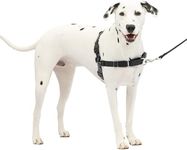 PetSafe Easy Walk No-Pull Dog Harne