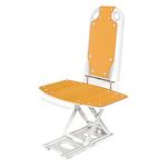 Helsevesen Reclining Bath Lift with Orange Covers, Powered Lift Chair Get Up from Floor