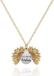 14K Gold P