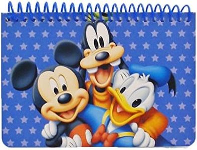 Disney Mic