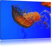 Pixxprint graceful jellyfish in the water Deluxe Size: 120x80 cm on canvas, huge XXL Pictures completely framed with stretcher, art print on mural with frame