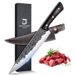 DRAGON RIOT 8-inch Chef Knife Japanese, Sharp Kitchen Knives, Hand Forged Gyutou Chef Knife, Professional Cooking Knife for Meat Vegetables