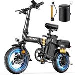 DTTZH 1000W Folding Electric E Bike