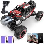 DEERC 1:12 Remote Control Car with 