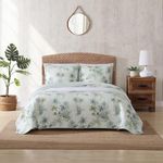 Tommy Bahama - King Quilt, Cotton Reversible Bedding, Pre-Washed for Added Softness (Serenity Palm Blue, King)