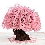 GREETING ART Wedding Card Anniversary Card,Cherry Blossom Pop Up Card,8×6-3D Greeting Card, Valentines Day Card,Love Card,Birthday, Anniversary Card for Husband, Wife, Boyfriend, Girlfriend