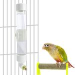 Bird Water Dispenser Parrot Waterer Automatic Bird Water Feeder for Medium Birds Parakeet Cockatiel Conure Caique (Medium)
