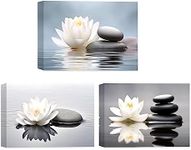 CCWACPP Zen Canvas Wall Art 3 Piece