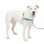 PetSafe EWH-D-HC-M/L-OCN Deluxe Easy Walk Harness, Medium/Large, Ocean Blue