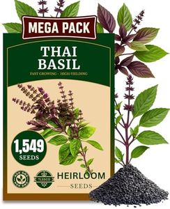 1549+ Thai