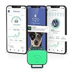 Whistle Health Smart Device | Dog H