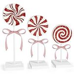 3 Pieces Christmas Table Decoration