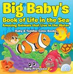 Baby Professor Books For Toddler Boys