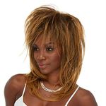 Tina Turner Costume Wig