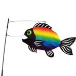 Premier Kites Swimming Fish - Bright Rainbow