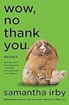 Wow, No Thank You.: Essays (Lambda 