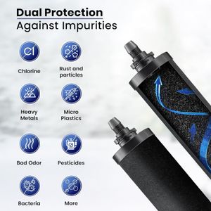 PHOENIX GRAVITY 6L Stainless Steel Water Filter – 2 Carbon Cartridges, NSF Certified
