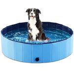 Dog Pools