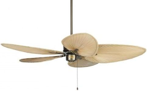 Fanimation ISP4 22 inch Narrow Oval Palm Blades,