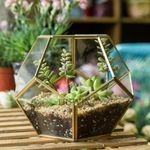 HUWIX Gold Glass Terrarium For Succulent, Air Plants - Modern Pentagon Geometric Terrarium- Home, Office Tabletop Brass Decor, 6.89X6.89X5.9 Inches (No Plants,Terrariums Only)