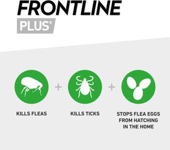 Frontline Plus Flea & Tick Treatment for Medium Dogs