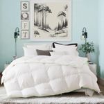 KASENTEX All Season Goose Down Comforter Corner Tabs-Baffle Box Design Duvet Insert Queen Size-Ultra Soft 750 Fill Power 46 oz Feather Down Fill-Hotel Collection-Medium Warmth (90x90, White)