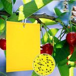 Dual-Sided Yellow Sticky Traps for Capturing Flying Plant Insects Like Fungus Gnats, Flying Aphid, Whiteflies, Leaf Miners, Other Flying Plant Insects (6x10 Inches, Twist Ties Included) (30-Pack)