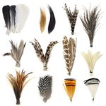 YZD Fly Tying Materials Starter Kit 12 Species Fly Tying Feathers Hair