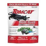 Tomcat Mouse Killer Child and Dog R