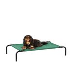 Amazon Basics Cooling Breathable Elevated Dog Bed with Metal Frame for Small Dogs, 36 x 22 x 7.5 Inch, Green