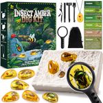 Amber Science Kit, Chardfun Amber Dig Kit for Kids Educational Science Kits for Kids 3-8 Fossil Digging Kit for Kids Great Kids Activities STEM Projects Gift for Girls Collection Gifts for Boy Age 4-6