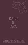 Kane & Ava: Rough Touch: 3 (Discreet Series)