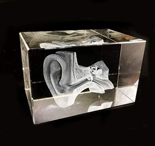 3D Human Ear Anatomical Model Paperweight(Laser Etched) in Crystal Glass Cube Science Anatomy Gift (No Included LED Base)