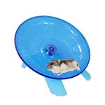 Flying Saucer Chinchilla