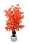 Kaykon Artificial Red Maple Tree Without Vase For Home Decor - 4.65 Feet