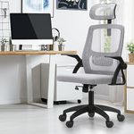 Oikiture Ergonomic Office Chair, Hi