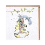 Blue Tits Bird Feeder Birthday Card – Bon Appetit Wrendale Blank Greeting Card