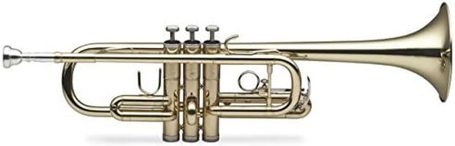 Stagg WS-T
