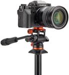 3 Legged Thing AirHed Trinity multi-use head for video, monopods and scopes (Lava - Black/Copper) (AHTRINITY)