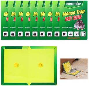 10 Pack St
